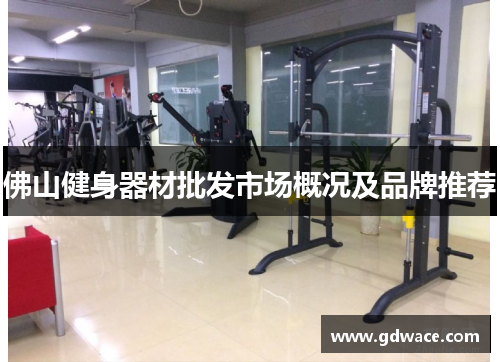 佛山健身器材批发市场概况及品牌推荐 佛山健身器材批发市场概况及品牌推荐