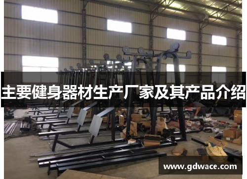 主要健身器材生产厂家及其产品介绍