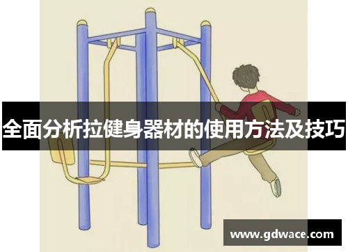全面分析拉健身器材的使用方法及技巧