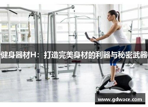 健身器材H：打造完美身材的利器与秘密武器