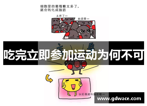 吃完立即参加运动为何不可