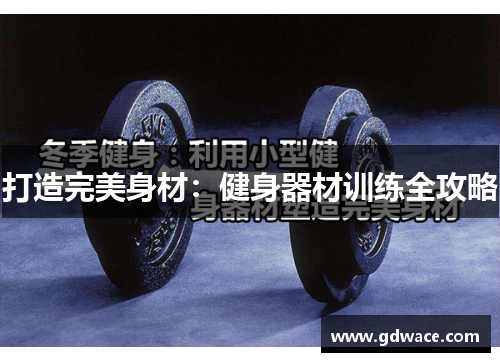 打造完美身材：健身器材训练全攻略
