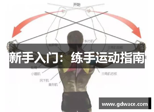 新手入门：练手运动指南