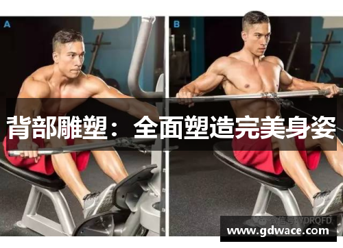背部雕塑:全面塑造完美身姿 背部雕塑:全面塑造完美身姿