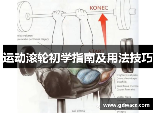 运动滚轮初学指南及用法技巧