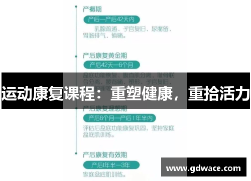 运动康复课程:重塑健康,重拾活力 运动康复课程:重塑健康,重拾活力