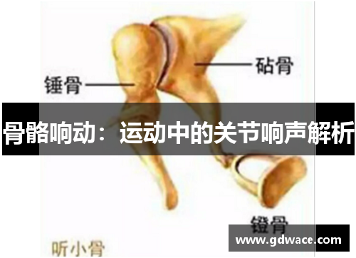 骨骼响动：运动中的关节响声解析