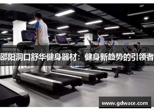 邵阳洞口舒华健身器材：健身新趋势的引领者