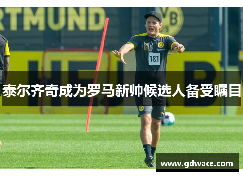 泰尔齐奇成为罗马新帅候选人备受瞩目