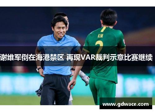 谢维军倒在海港禁区 再现VAR裁判示意比赛继续 