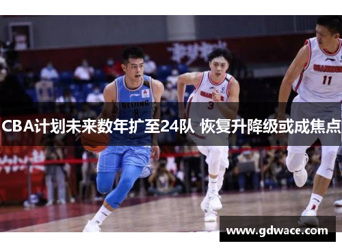 CBA计划未来数年扩至24队 恢复升降级或成焦点